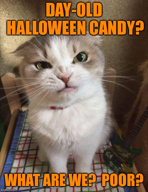 I used to make my candy last for months.  :-) | DAY-OLD HALLOWEEN CANDY? WHAT ARE WE?  POOR? | image tagged in memes,halloween,candy,cats,funny,spoiled | made w/ Imgflip meme maker