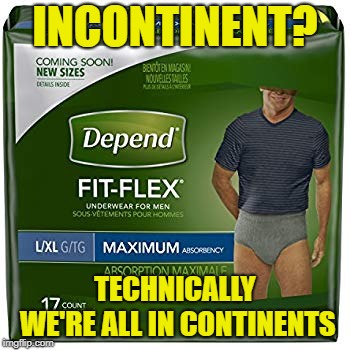 Incontinent? | INCONTINENT? TECHNICALLY WE'RE ALL IN CONTINENTS | image tagged in incontinent | made w/ Imgflip meme maker