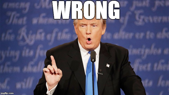 Donald Trump Wrong | WRONG | image tagged in donald trump wrong | made w/ Imgflip meme maker