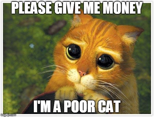 Shrek Cat Meme | PLEASE GIVE ME MONEY; I'M A POOR CAT | image tagged in memes,shrek cat | made w/ Imgflip meme maker