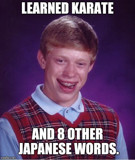Bad Luck Brian Meme | LEARNED KARATE; AND 8 OTHER JAPANESE WORDS. | image tagged in memes,bad luck brian | made w/ Imgflip meme maker