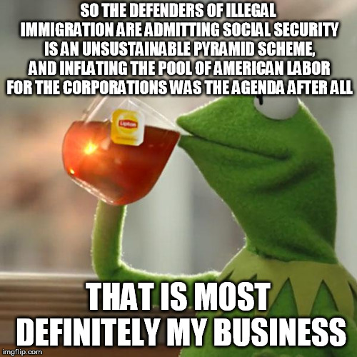 But That's None Of My Business Meme | SO THE DEFENDERS OF ILLEGAL IMMIGRATION ARE ADMITTING SOCIAL SECURITY IS AN UNSUSTAINABLE PYRAMID SCHEME, AND INFLATING THE POOL OF AMERICAN | image tagged in memes,but thats none of my business,kermit the frog | made w/ Imgflip meme maker