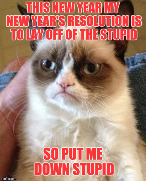 Grumpy kicks off the new year early | THIS NEW YEAR MY NEW YEAR'S RESOLUTION IS TO LAY OFF OF THE STUPID; SO PUT ME DOWN STUPID | image tagged in memes,grumpy cat,funny,new years,early,stupid | made w/ Imgflip meme maker