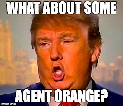 Trump Orange | WHAT ABOUT SOME AGENT ORANGE? | image tagged in trump orange | made w/ Imgflip meme maker