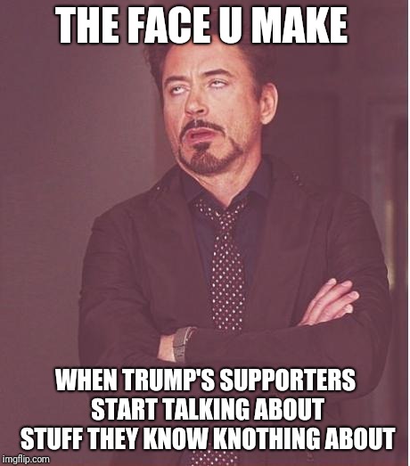 Face You Make Robert Downey Jr | THE FACE U MAKE; WHEN TRUMP'S SUPPORTERS START TALKING ABOUT STUFF THEY KNOW KNOTHING ABOUT | image tagged in memes,face you make robert downey jr | made w/ Imgflip meme maker