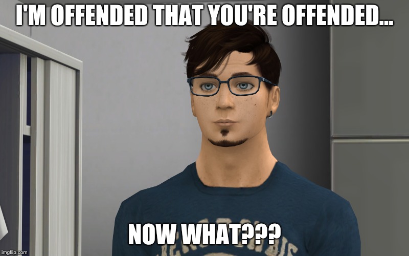 The Great Impasse | I'M OFFENDED THAT YOU'RE OFFENDED... NOW WHAT??? | image tagged in offended,etienne,the sims,sims 4,sjw | made w/ Imgflip meme maker