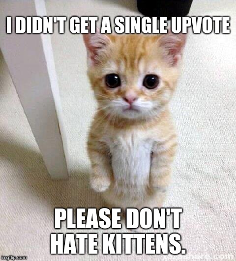 Cute Cat | I DIDN'T GET A SINGLE UPVOTE; PLEASE DON'T HATE KITTENS. | image tagged in memes,cute cat | made w/ Imgflip meme maker