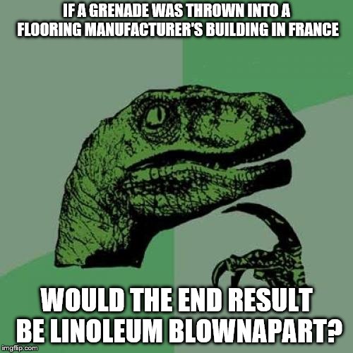 Philosoraptor | IF A GRENADE WAS THROWN INTO A FLOORING MANUFACTURER'S BUILDING IN FRANCE; WOULD THE END RESULT BE LINOLEUM BLOWNAPART? | image tagged in memes,philosoraptor | made w/ Imgflip meme maker