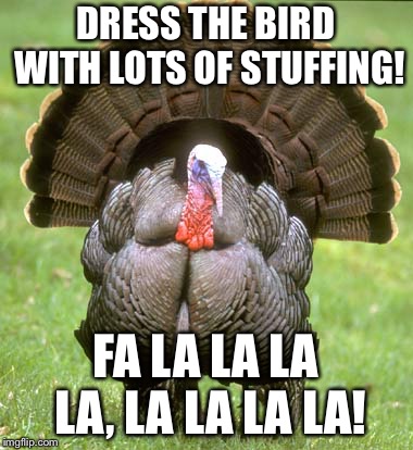 Turkey | DRESS THE BIRD WITH LOTS OF STUFFING! FA LA LA LA LA, LA LA LA LA! | image tagged in memes,turkey | made w/ Imgflip meme maker