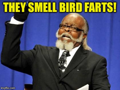 Too Damn High Meme | THEY SMELL BIRD FARTS! | image tagged in memes,too damn high | made w/ Imgflip meme maker
