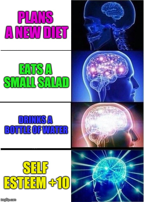 Expanding Brain | PLANS A NEW DIET; EATS A SMALL SALAD; DRINKS A BOTTLE OF WATER; SELF ESTEEM +10 | image tagged in memes,expanding brain | made w/ Imgflip meme maker