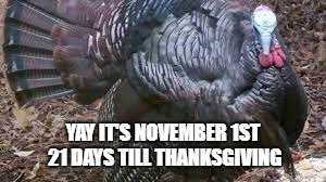 Turkey is Delicious | YAY IT'S NOVEMBER 1ST 21 DAYS TILL THANKSGIVING | image tagged in turkeys,thanksgiving,november | made w/ Imgflip meme maker