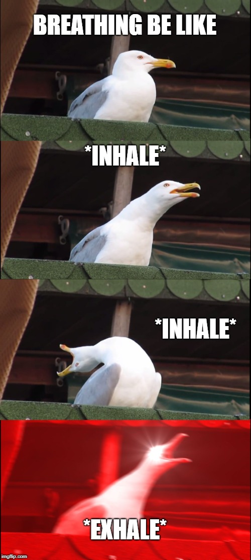 Inhaling Seagull | BREATHING BE LIKE; *INHALE*; *INHALE*; *EXHALE* | image tagged in memes,inhaling seagull | made w/ Imgflip meme maker