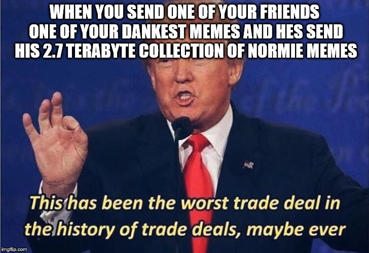 Donald Trump Worst Trade Deal | WHEN YOU SEND ONE OF YOUR FRIENDS ONE OF YOUR DANKEST MEMES AND HES SEND HIS 2.7 TERABYTE COLLECTION OF NORMIE MEMES | image tagged in donald trump worst trade deal | made w/ Imgflip meme maker