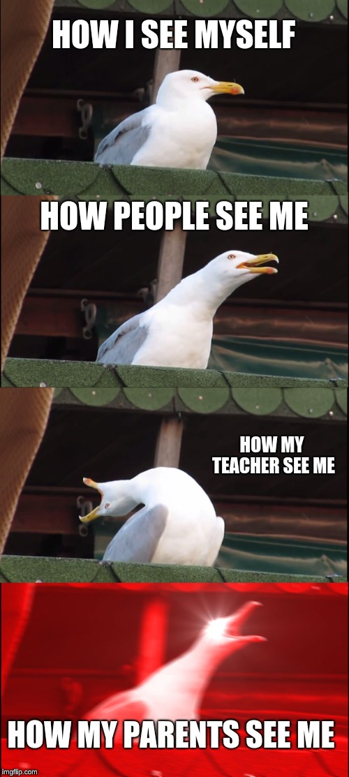 Inhaling Seagull Meme | HOW I SEE MYSELF; HOW PEOPLE SEE ME; HOW MY TEACHER SEE ME; HOW MY PARENTS SEE ME | image tagged in memes,inhaling seagull | made w/ Imgflip meme maker