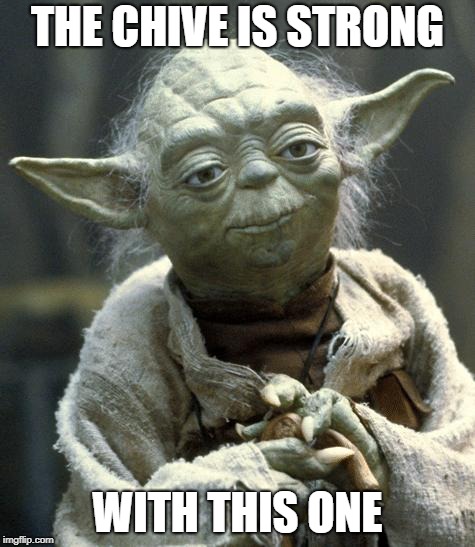 yoda | THE CHIVE IS STRONG; WITH THIS ONE | image tagged in yoda | made w/ Imgflip meme maker