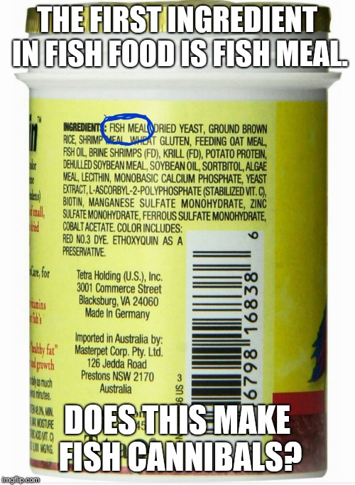 I only thought piranhas were cannibals. | THE FIRST INGREDIENT IN FISH FOOD IS FISH MEAL. DOES THIS MAKE FISH CANNIBALS? | image tagged in fishing for upvotes | made w/ Imgflip meme maker