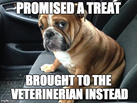 image tagged in sad doggy,memes,dogs | made w/ Imgflip meme maker