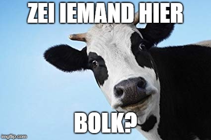 ZEI IEMAND HIER; BOLK? | made w/ Imgflip meme maker