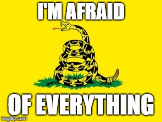 Gadsden Flag | I'M AFRAID OF EVERYTHING | image tagged in gadsden flag | made w/ Imgflip meme maker