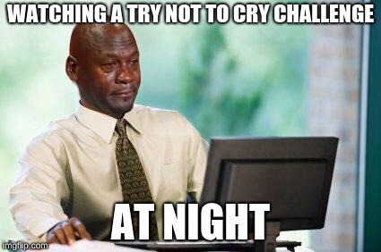 Crying Michael Jordan @ Computer | WATCHING A TRY NOT TO CRY CHALLENGE; AT NIGHT | image tagged in crying michael jordan  computer | made w/ Imgflip meme maker