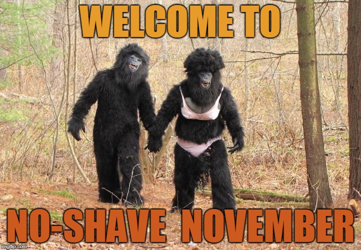 No Shave November | WELCOME TO; NO-SHAVE  NOVEMBER | image tagged in no shave november | made w/ Imgflip meme maker