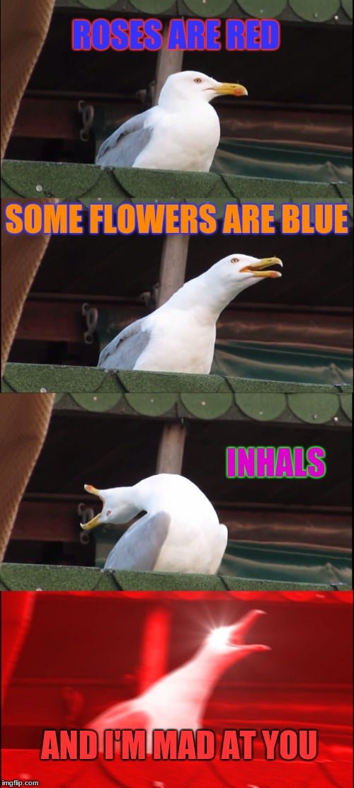 Inhaling Seagull | ROSES ARE RED; SOME FLOWERS ARE BLUE; INHALS; AND I'M MAD AT YOU | image tagged in memes,inhaling seagull | made w/ Imgflip meme maker