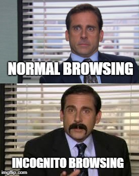 Browsing be like | NORMAL BROWSING; INCOGNITO BROWSING | image tagged in incognito | made w/ Imgflip meme maker