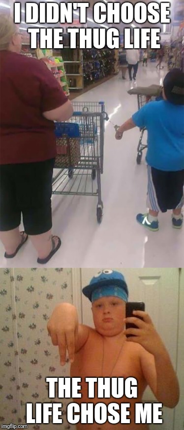 Saw the first one today and immediately thought of the second one. | I DIDN'T CHOOSE THE THUG LIFE; THE THUG LIFE CHOSE ME | image tagged in memes,thug kid handcuffed to cart,thug life fat children,i didnt choose the thug life | made w/ Imgflip meme maker