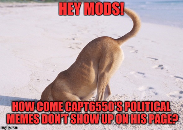 Confused about how this works | HEY MODS! HOW COME CAPT6550'S POLITICAL MEMES DON'T SHOW UP ON HIS PAGE? | image tagged in head in the sand | made w/ Imgflip meme maker