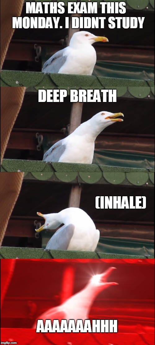 Inhaling Seagull | MATHS EXAM THIS  MONDAY. I DIDNT STUDY; DEEP BREATH; (INHALE); AAAAAAAHHH | image tagged in memes,inhaling seagull | made w/ Imgflip meme maker