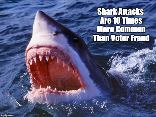 "Shark Attacks Are 10 Times More Common Than Voter Fraud" | Shark Attacks Are 10 Times More Common Than Voter Fraud | image tagged in voter fraud,shark attacks,voter suppression,voter fraud is a trivial excuse for massive voter suppression | made w/ Imgflip meme maker