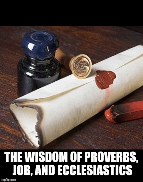 THE WISDOM OF PROVERBS, JOB, AND ECCLESIASTICS | image tagged in bible,proverb,wisdom,holy bible,job | made w/ Imgflip meme maker