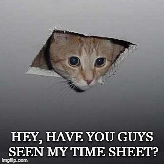 Ceiling Cat | HEY, HAVE YOU GUYS SEEN MY TIME SHEET? | image tagged in memes,ceiling cat | made w/ Imgflip meme maker