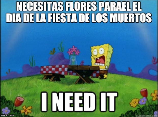 spongebob I need it | NECESITAS FLORES PARAEL EL DIA DE LA FIESTA DE LOS MUERTOS | image tagged in spongebob i need it | made w/ Imgflip meme maker
