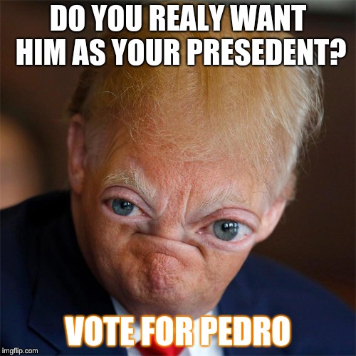 DO YOU REALY WANT HIM AS YOUR PRESEDENT? VOTE FOR PEDRO | image tagged in trump | made w/ Imgflip meme maker