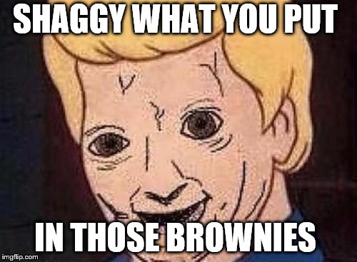 Shaggy this isnt weed fred scooby doo | SHAGGY WHAT YOU PUT; IN THOSE BROWNIES | image tagged in shaggy this isnt weed fred scooby doo | made w/ Imgflip meme maker