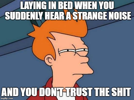 Futurama Fry Meme | LAYING IN BED WHEN YOU SUDDENLY HEAR A STRANGE NOISE; AND YOU DON'T TRUST THE SHIT | image tagged in memes,futurama fry | made w/ Imgflip meme maker