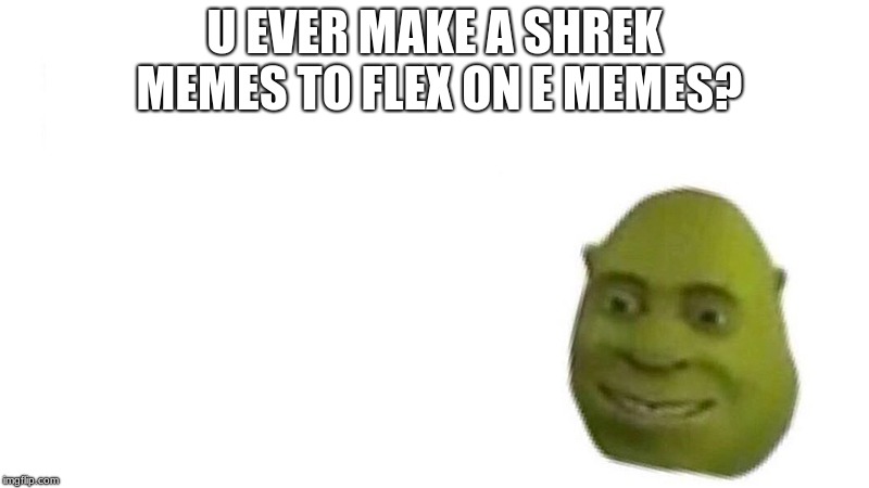 Shrek flex | U EVER MAKE A SHREK MEMES TO FLEX ON E MEMES? | image tagged in shrek flex | made w/ Imgflip meme maker