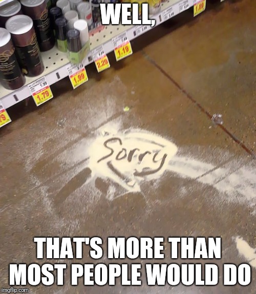 spill apology | WELL, THAT'S MORE THAN MOST PEOPLE WOULD DO | image tagged in spill apology,memes | made w/ Imgflip meme maker