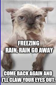 Poor, Poor Puddy Tat. | FREEZING RAIN, RAIN GO AWAY; COME BACK AGAIN AND I'LL CLAW YOUR EYES OUT. | image tagged in wet cat,memes,meme,cat memes,cat meme,funny cat memes | made w/ Imgflip meme maker