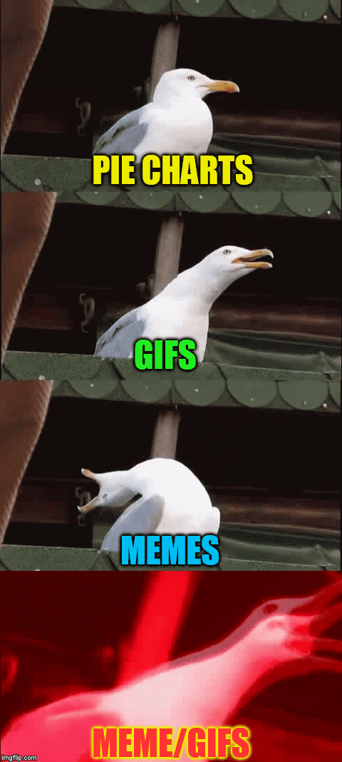 Inhaling Seagull Meme/Gif.