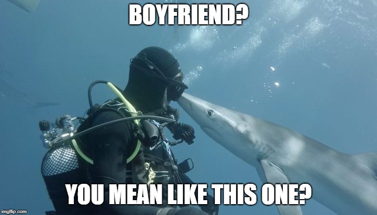shark kiss | BOYFRIEND? YOU MEAN LIKE THIS ONE? | image tagged in shark kiss | made w/ Imgflip meme maker