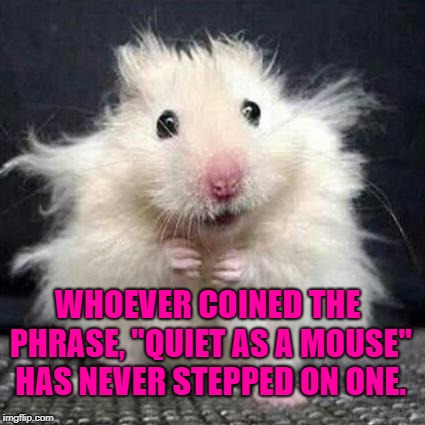 Stressed Mouse | WHOEVER COINED THE PHRASE, "QUIET AS A MOUSE" HAS NEVER STEPPED ON ONE. | image tagged in stressed mouse,funny,memes,funny memes,quiet | made w/ Imgflip meme maker