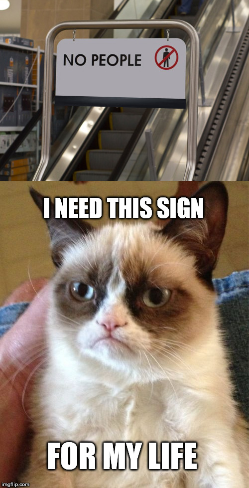 Grumpy cat is extremely grouchy today | I NEED THIS SIGN; FOR MY LIFE | image tagged in grumpy cat,funny signs,cat memes,memes | made w/ Imgflip meme maker