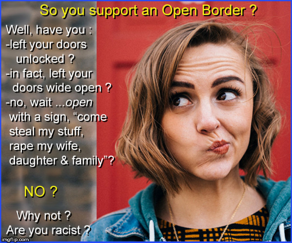 Do you support open borders ? | image tagged in open borders,build the wall,current events,election 2018,illegal immigration,political meme | made w/ Imgflip meme maker