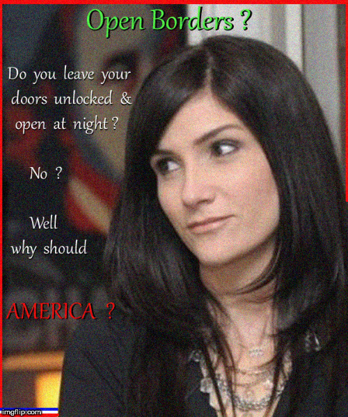 Open Borders ? | image tagged in open borders,dana loesch,build a wall,political meme,illegal immigration,election fraud | made w/ Imgflip meme maker