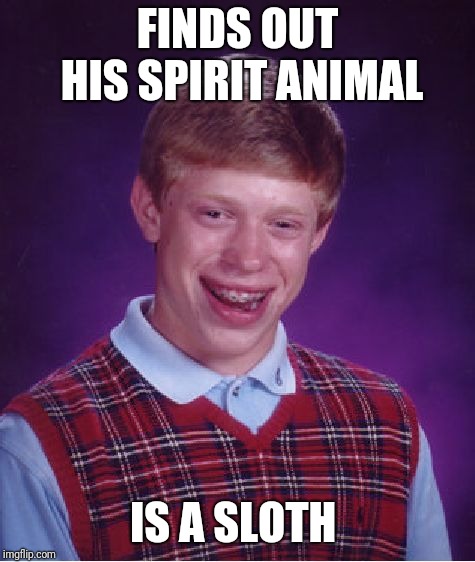 Bad Luck Brian Meme | FINDS OUT HIS SPIRIT ANIMAL; IS A SLOTH | image tagged in memes,bad luck brian | made w/ Imgflip meme maker