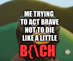 dhmis | ME TRYING TO ACT BRAVE NOT TO DIE LIKE A LITTLE B{CH | image tagged in dhmis | made w/ Imgflip meme maker