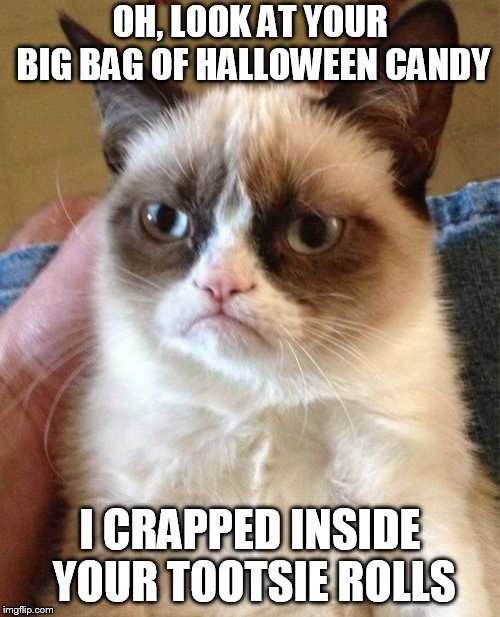 Grumpy Cat | OH, LOOK AT YOUR BIG BAG OF HALLOWEEN CANDY; I CRAPPED INSIDE YOUR TOOTSIE ROLLS | image tagged in memes,grumpy cat | made w/ Imgflip meme maker